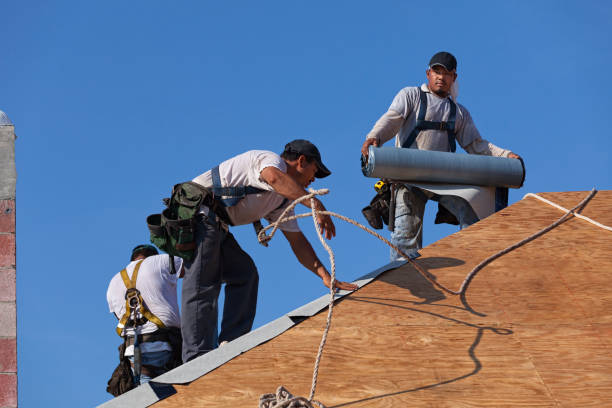 Best Storm Damage Roof Repair  in Borger, TX